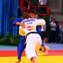 WCPARIS2011 90007